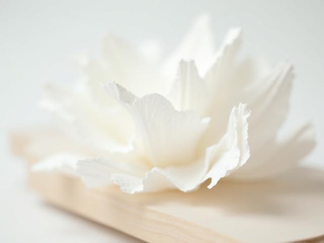 Sculptures délicates en papier rappelant le corail et les vagues